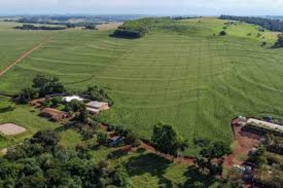 Produtor do PR atingido por evento climático tem nova linha de crédito de R$ 12 bilhões